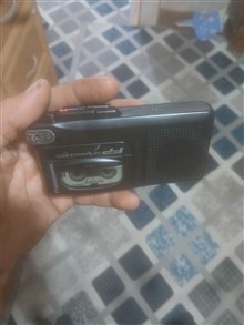 ظبط