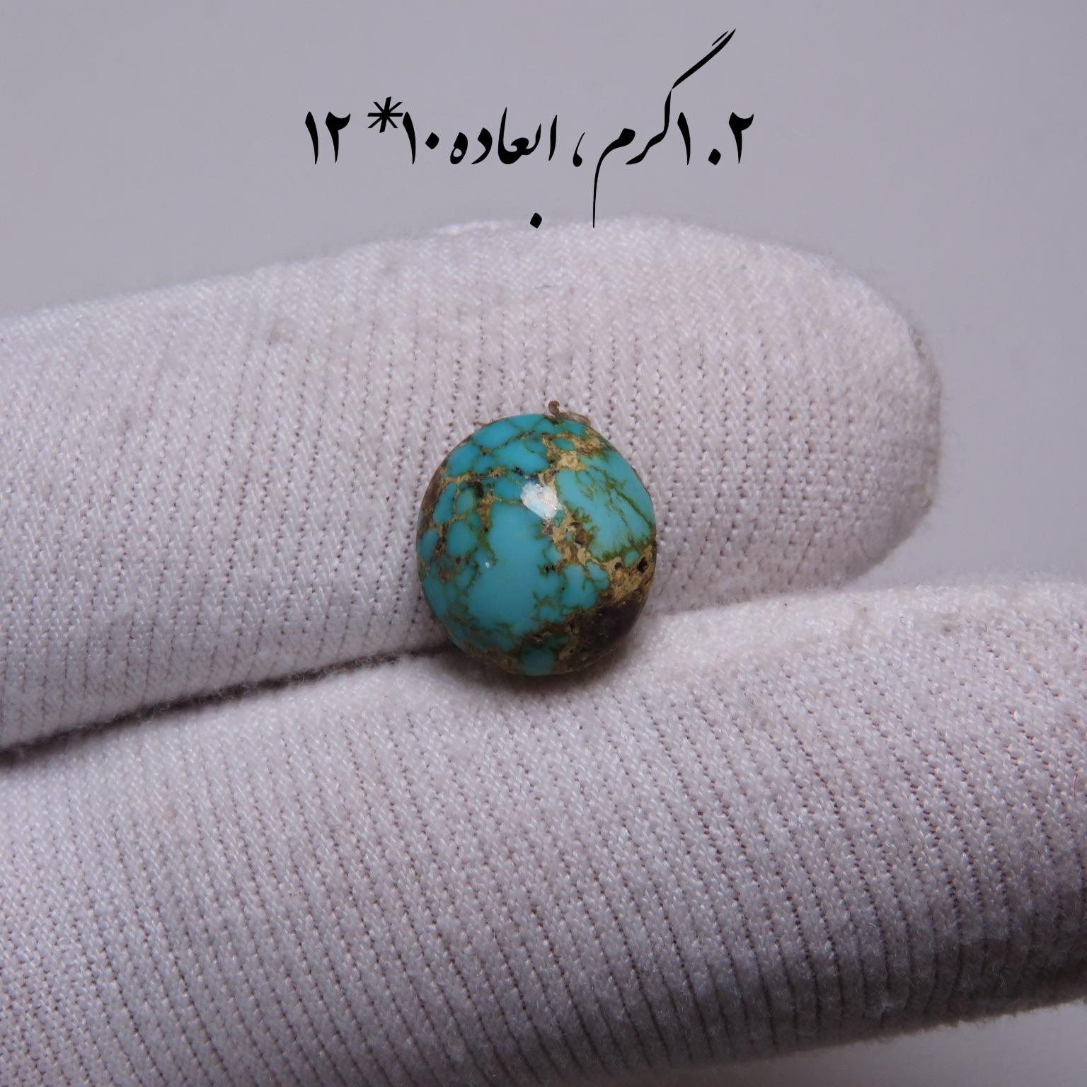 فیروزه اصل نیشابور