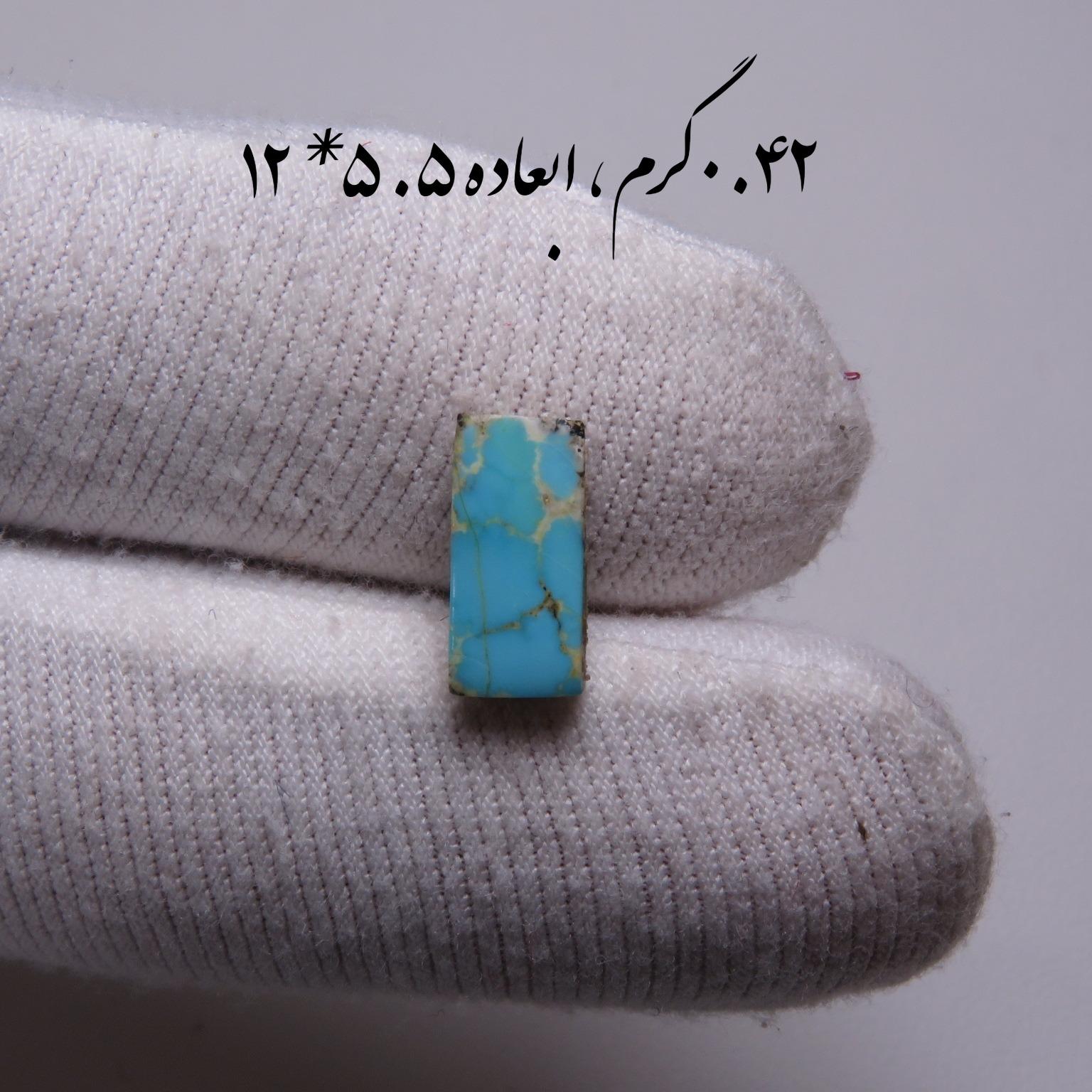 فیروزه اصل نیشابور