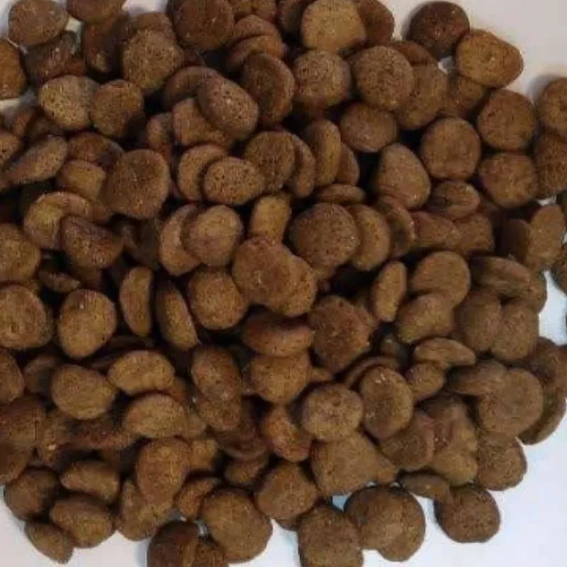 غذای سگ اماده