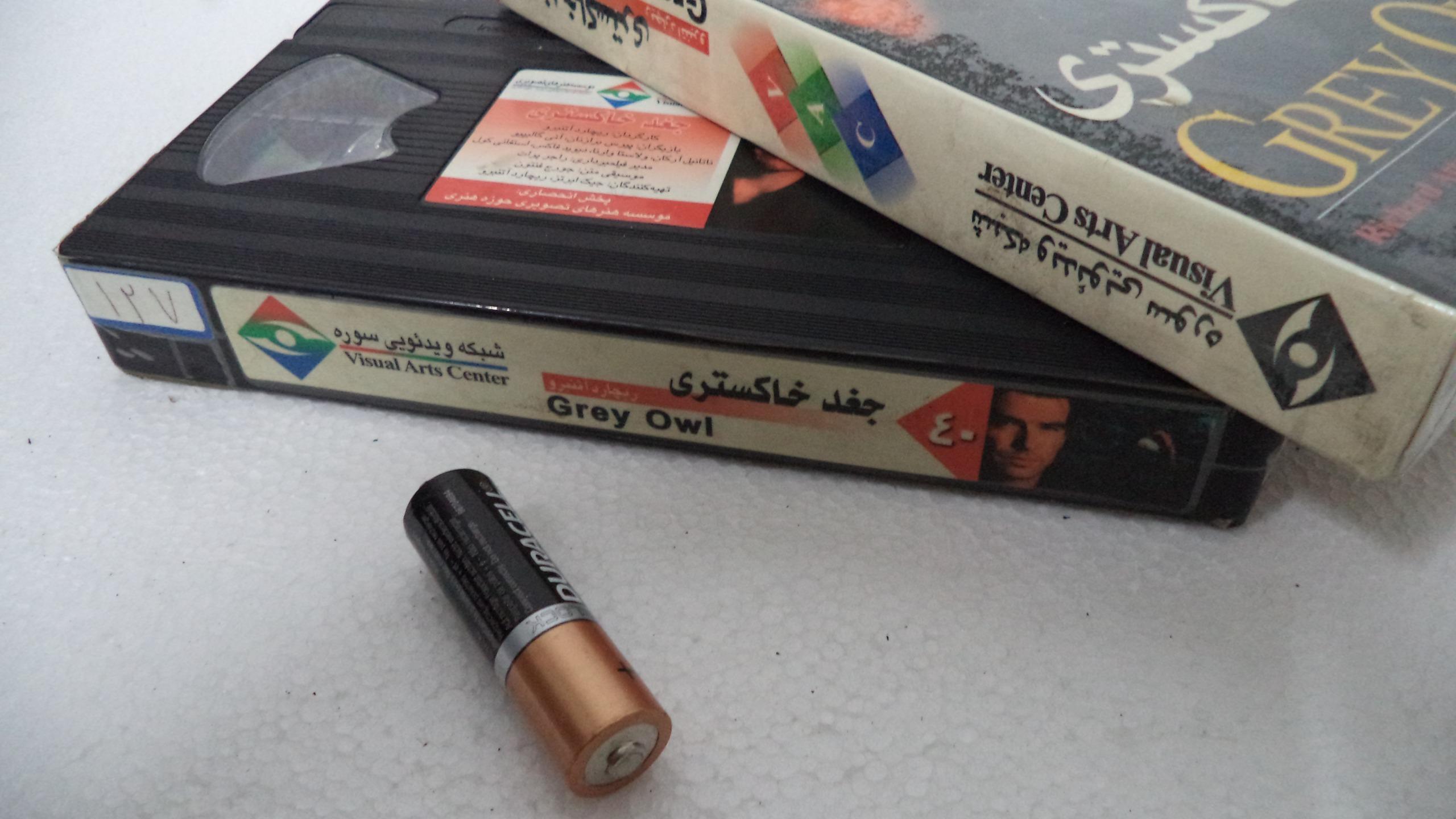 جغد خاکستری