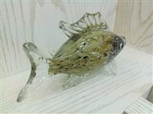 ماهی