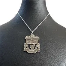 گردنبنداستیل