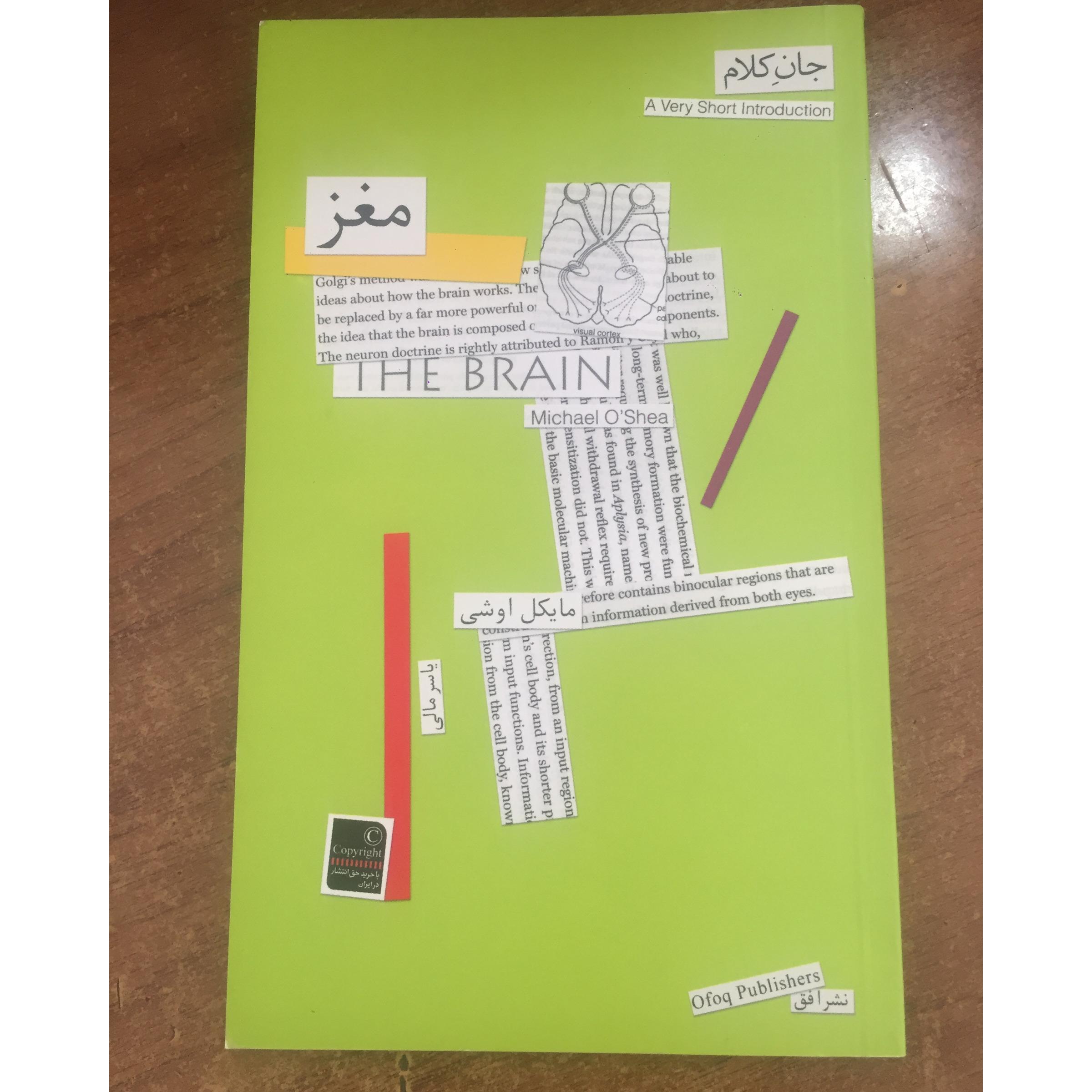 مغز (از مجموعه جان کلام)