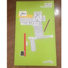 مغز