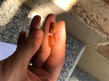 مهره