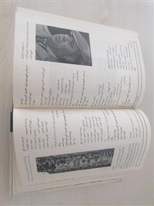 سرداران
