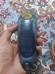 ریش