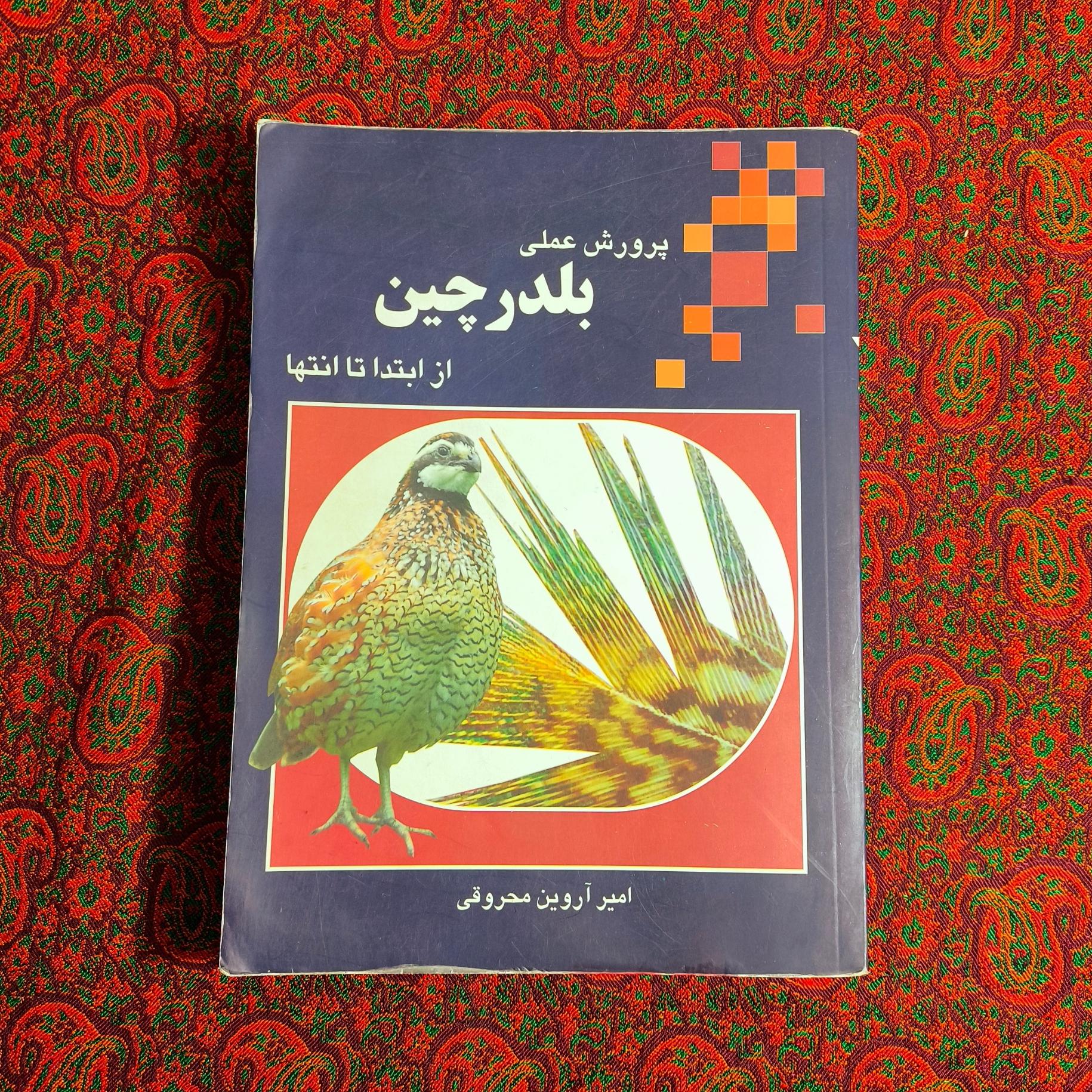 پرورش عملی بلدرچین از ابتدا تا انتها