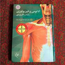 آناتومی