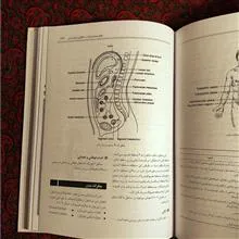 آناتومی