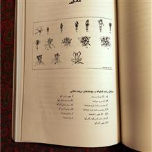 بیماریهای