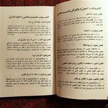 مانیتیسم