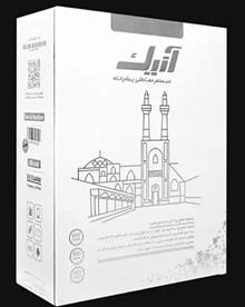 دزدگیر