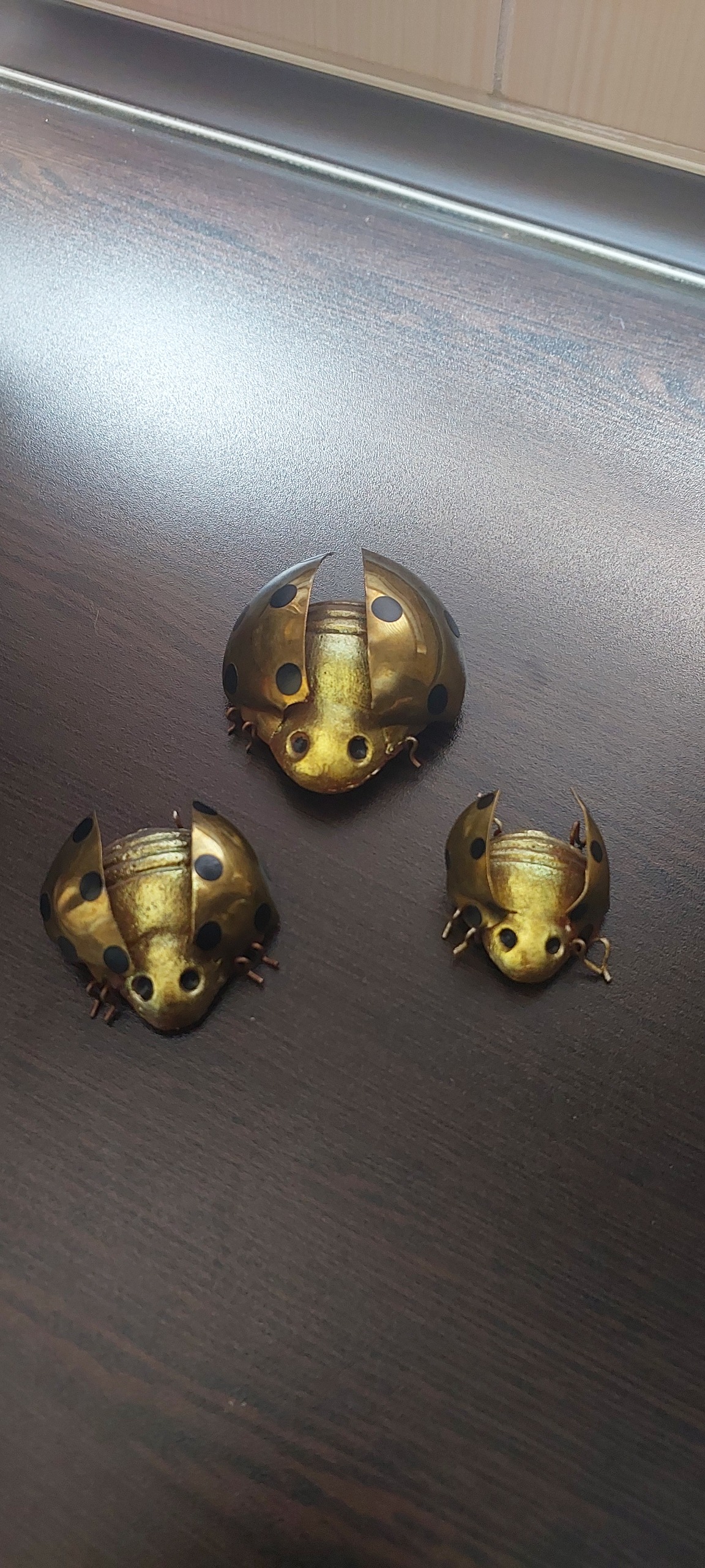 دیوارکوب برنزی کفشدوزک