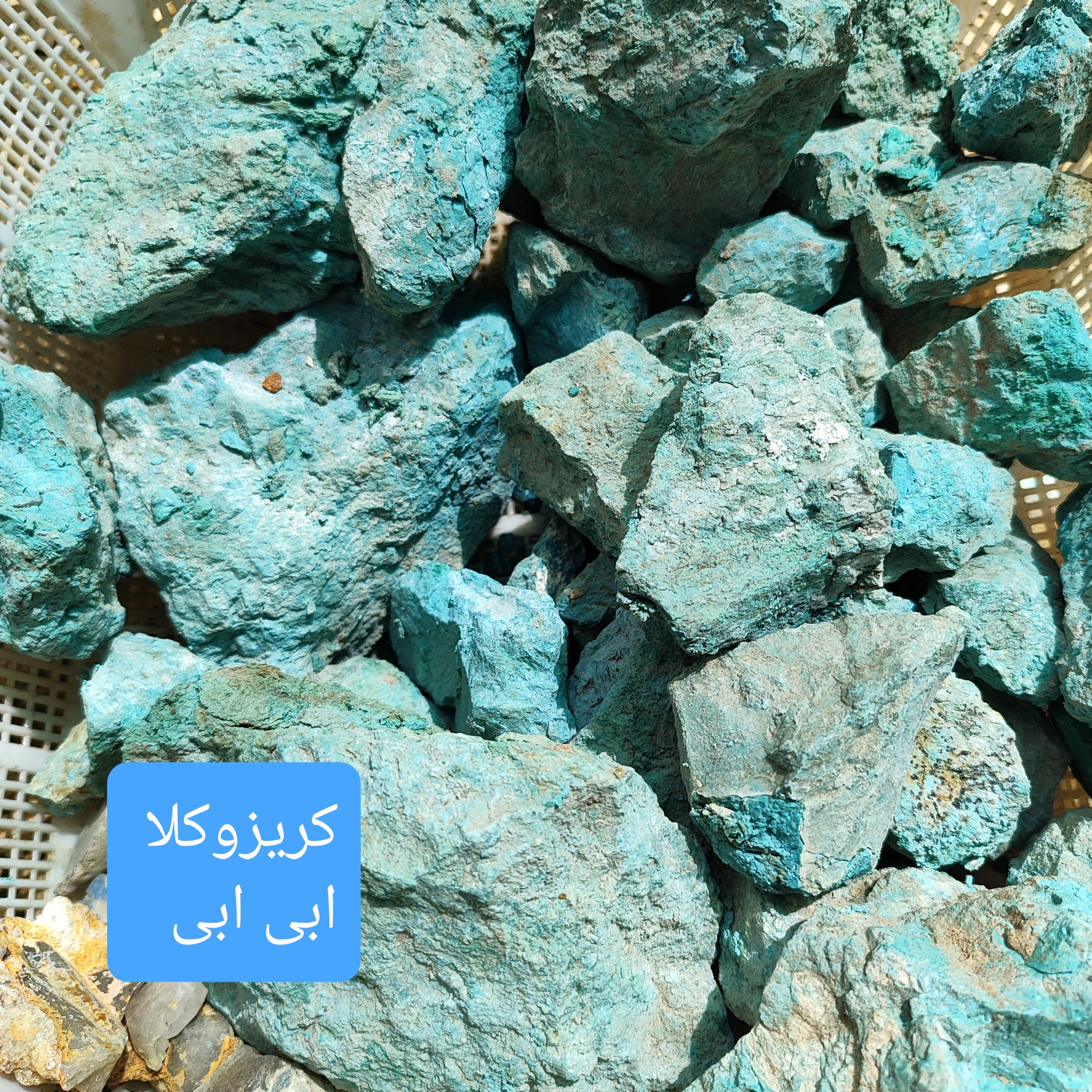 سنگ راف کریزوکلا ابی ابی پک 2 کیلویی