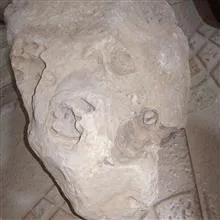 فسیل
