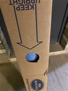 فون