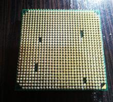 AMD