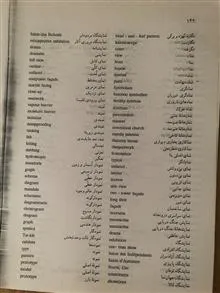 فرهنگ