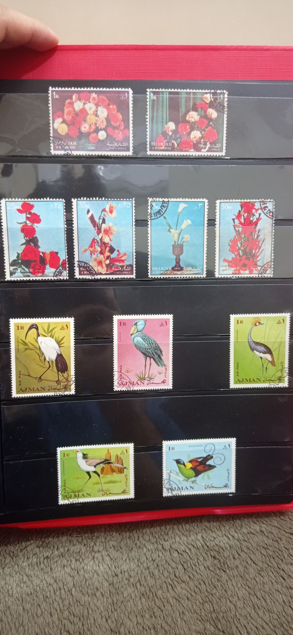 2 سری کامل عربی گل و پرنده cto