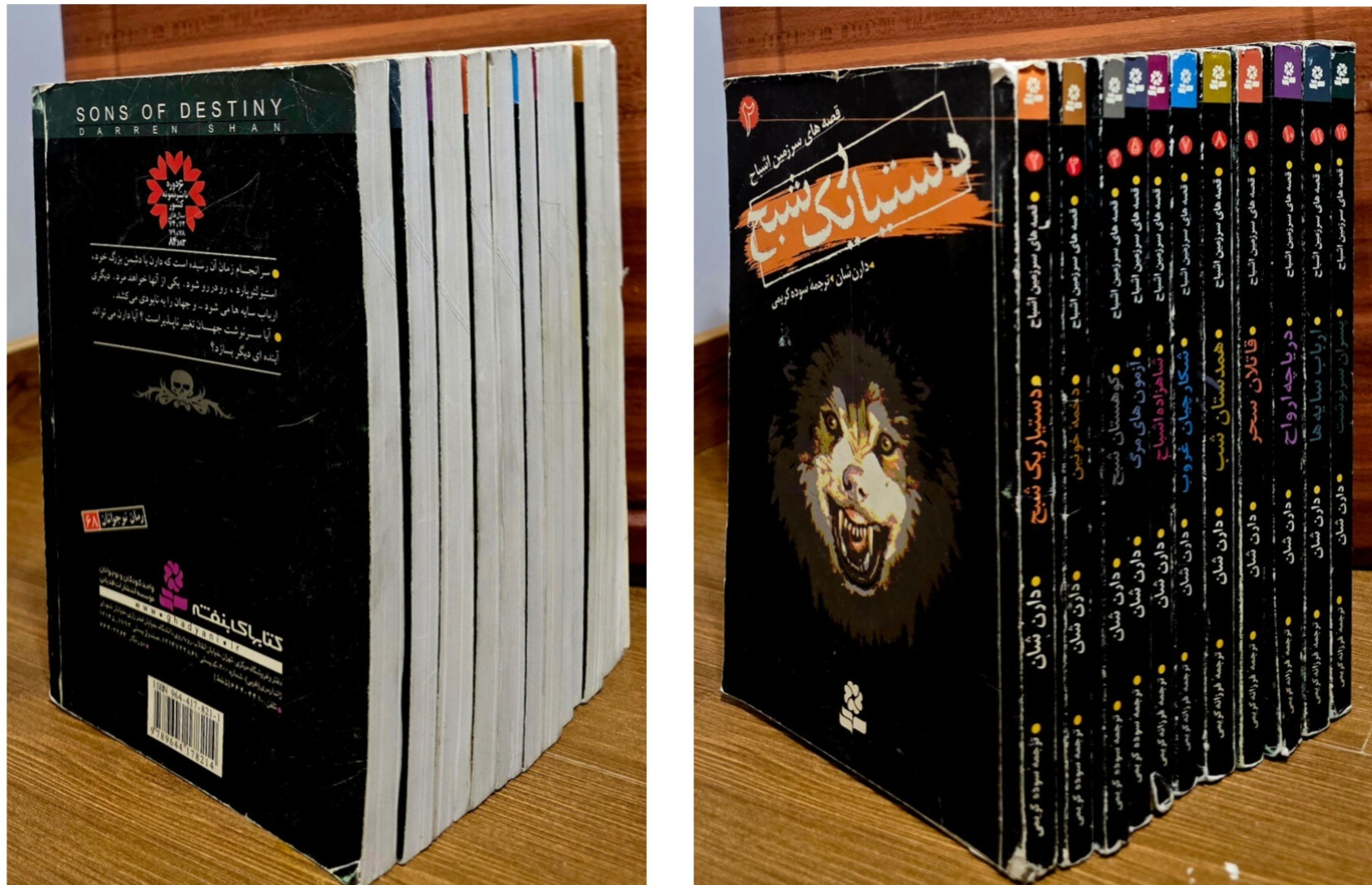  مجموعه قصه های سرزمین اشباح (دارن شان)