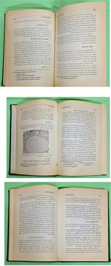 سیناپسیس