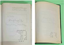 سیناپسیس