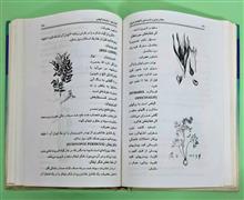 گیاهان