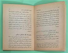 پیروزی