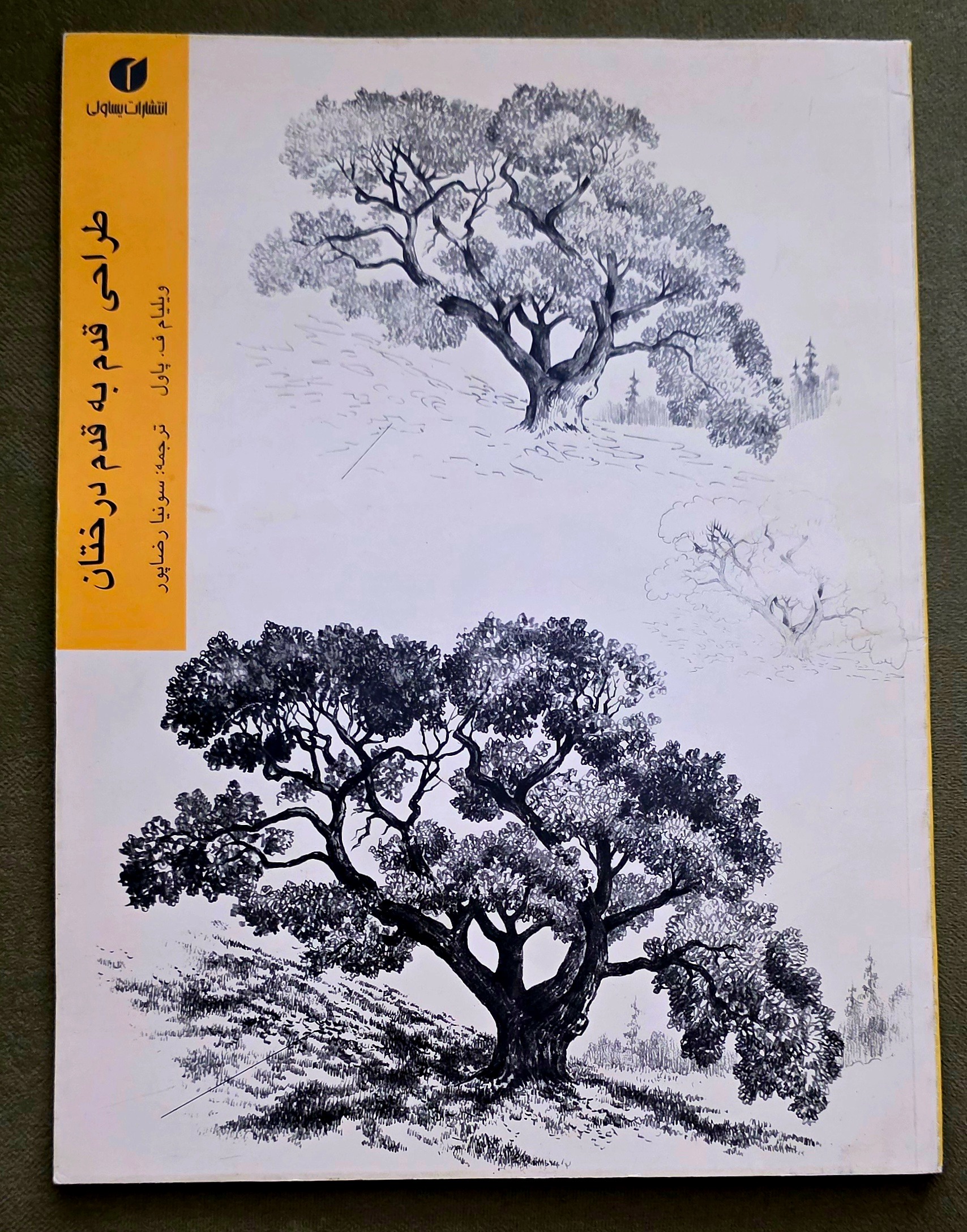 طراحی قدم به قدم درختان