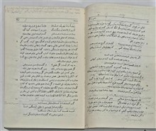 دامنی