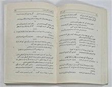 دامنی