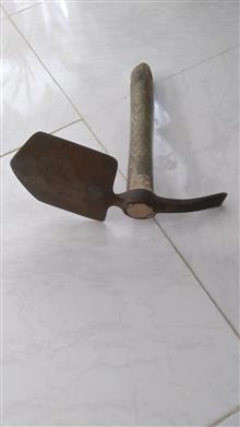 بیل