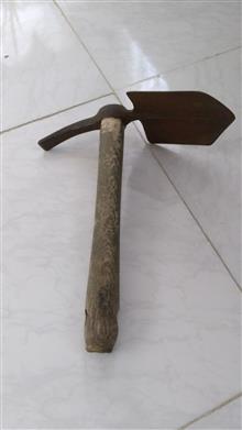 بیل