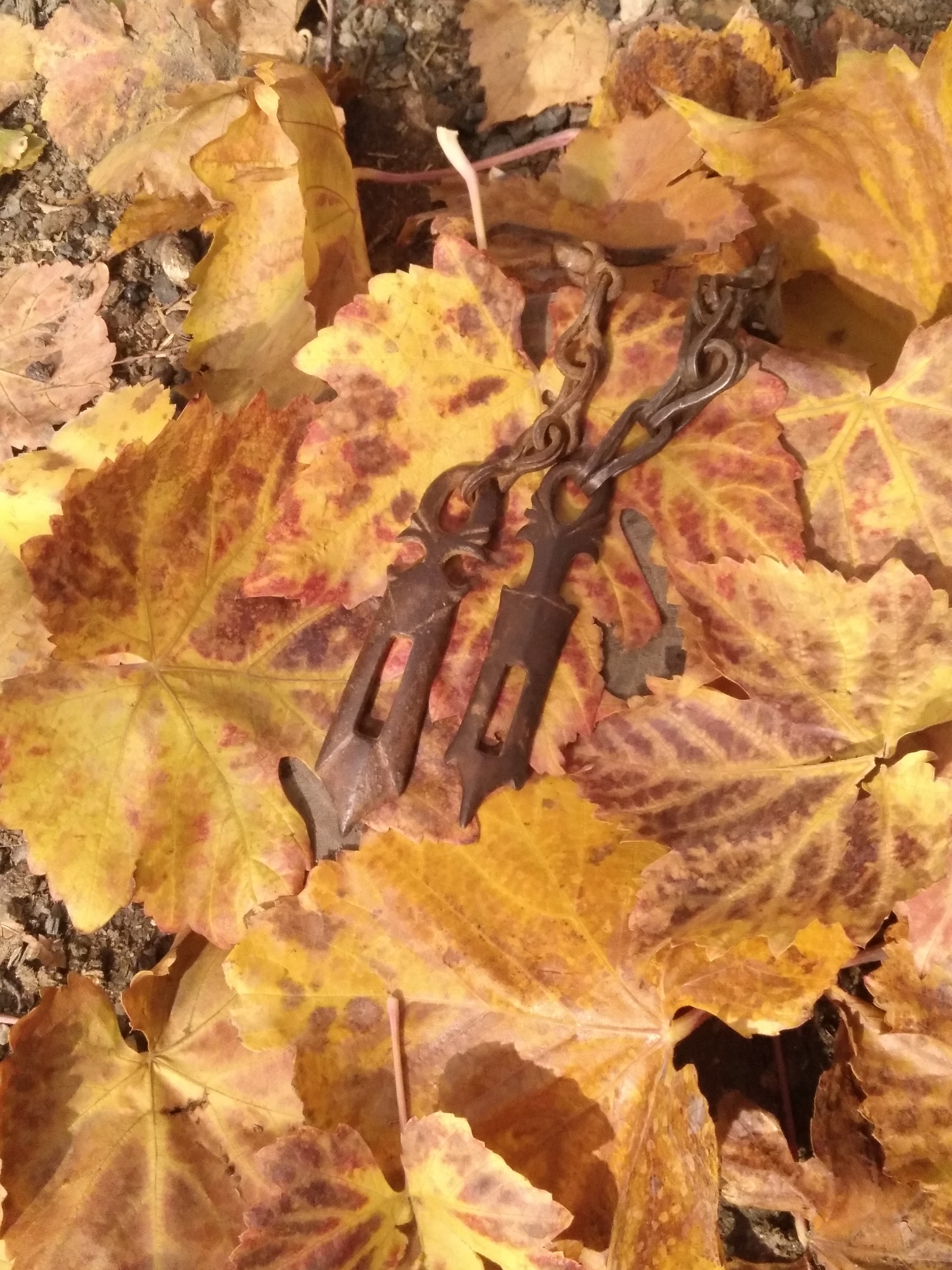 چفت فولادی روس