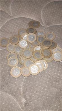 55