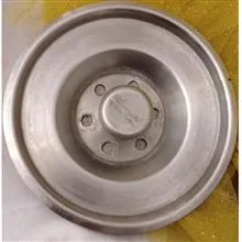 بخارپز