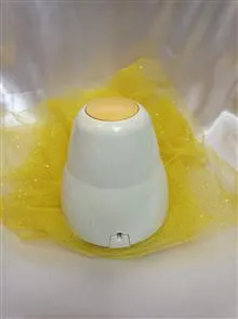 بدنه