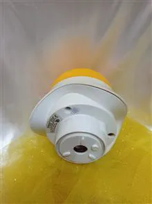 بدنه