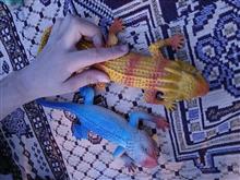 اسباب