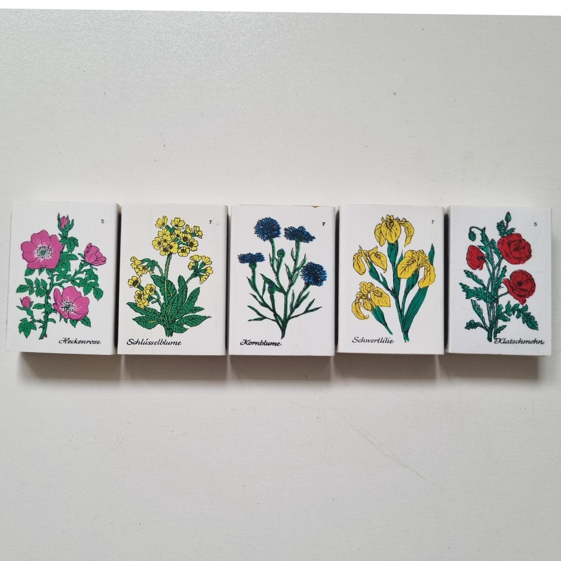 پلاستیکی سری گل های آلمانی 1