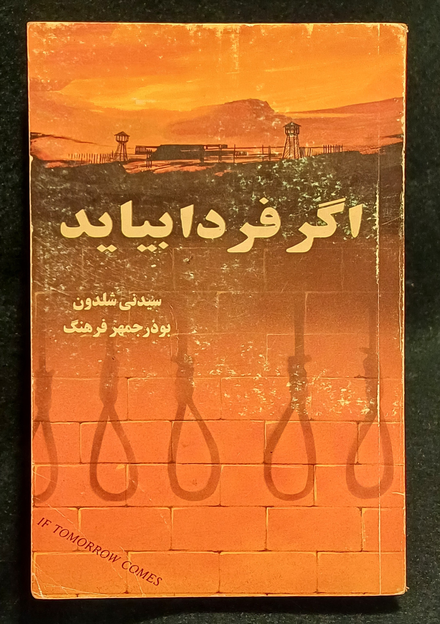اگر فردا باید - سیدنی شلدون