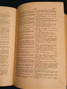 Dictionary