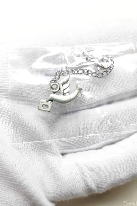 آویز ساعت استیل رنگ ثابت طرح کبوتر