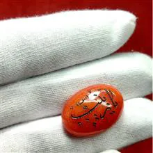 جید
