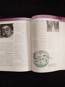 اصول