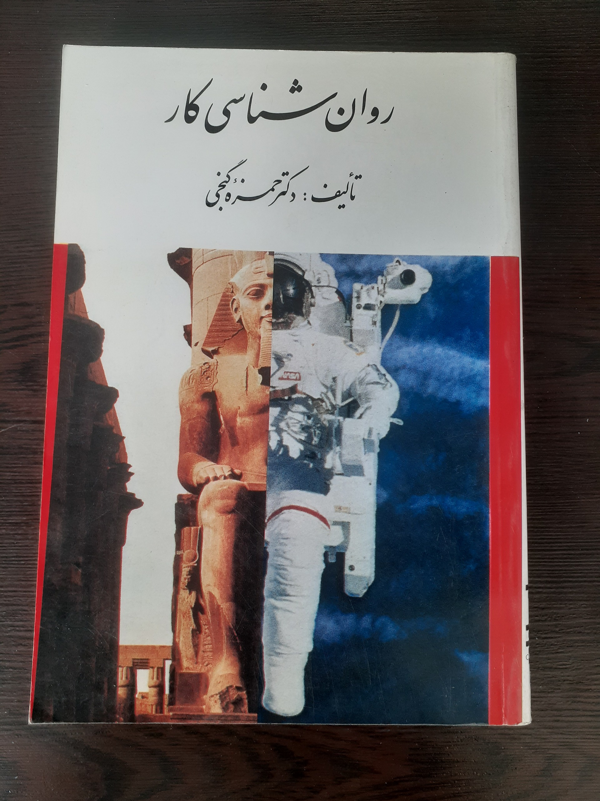 روان شناسی کار (حمزه گنجی)