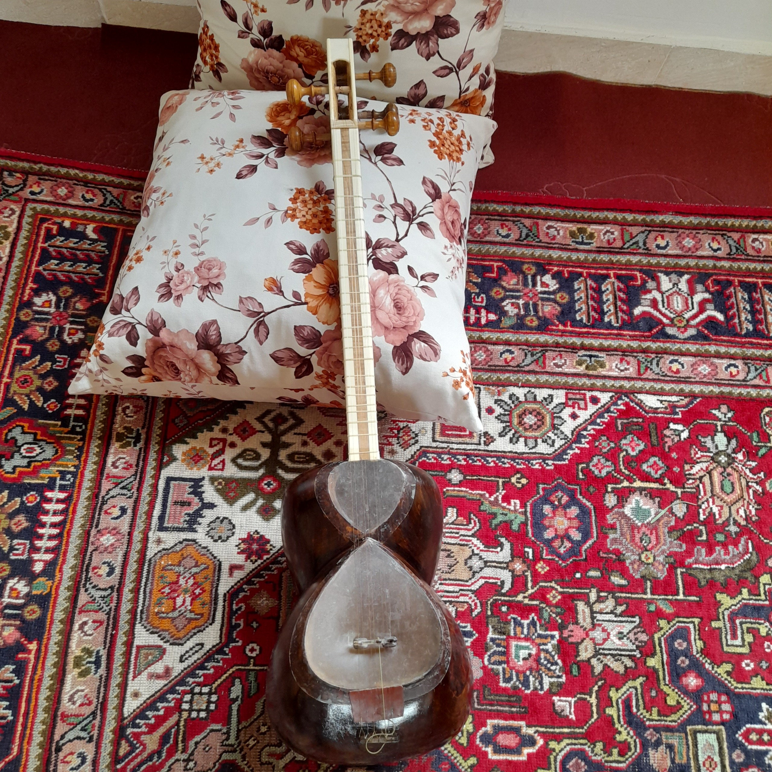 تار شیراز مارک نوا