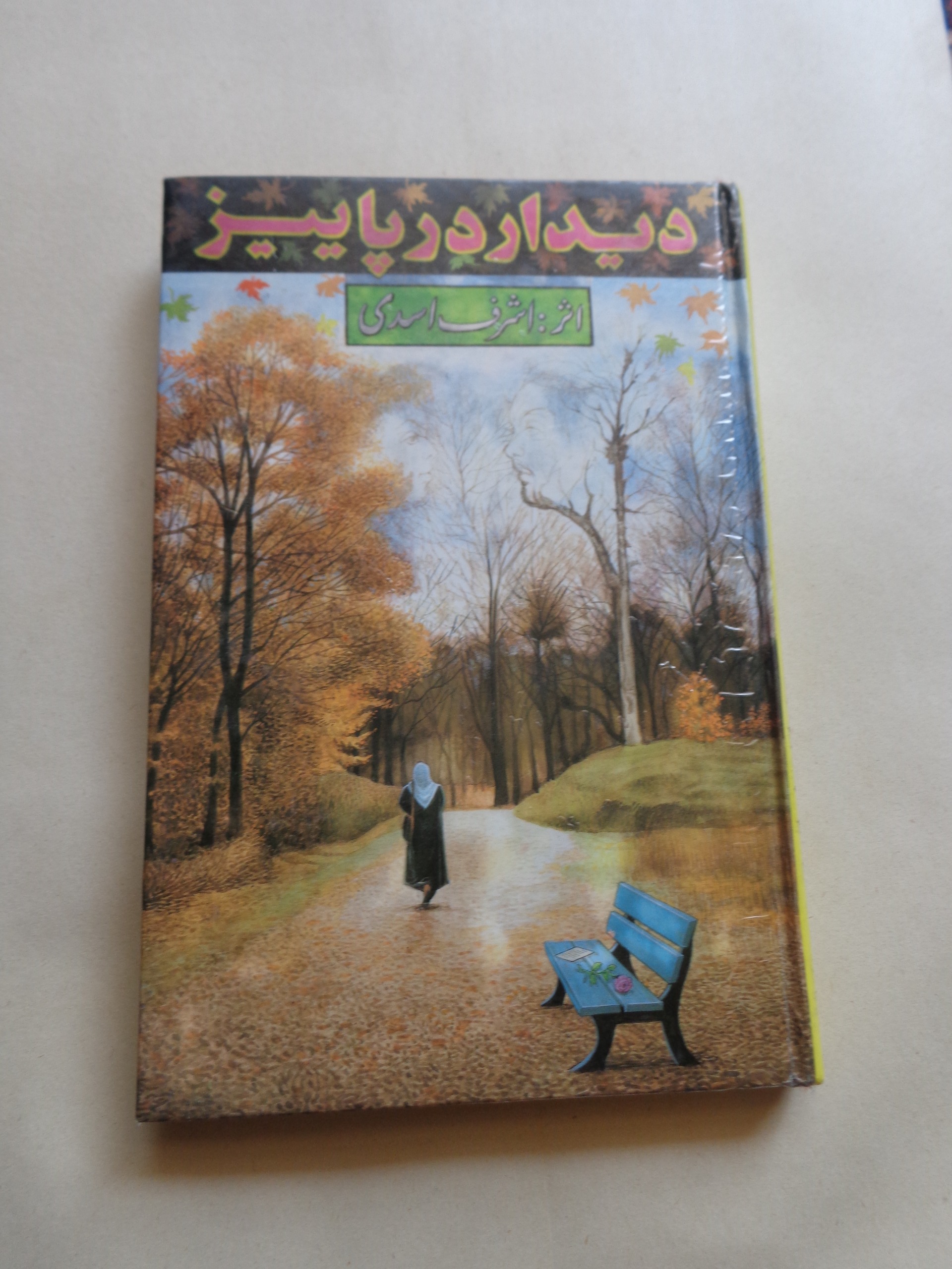 رمان ایرانی " دیدار در پاییز " اشرف اسدی